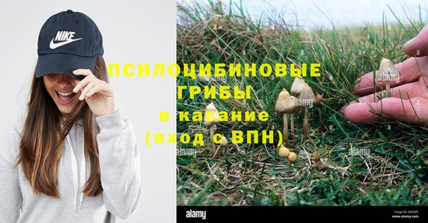 стаф Абаза