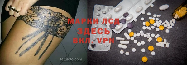 стаф Абаза