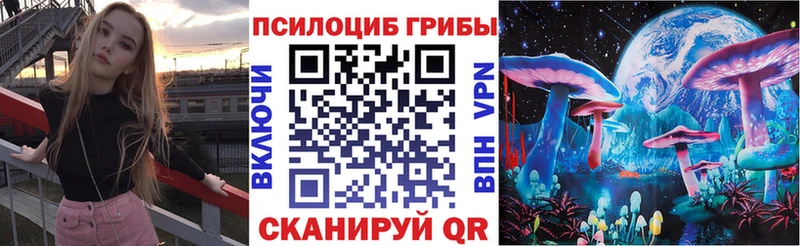 Псилоцибиновые грибы прущие грибы  Шарья 